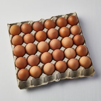 Misc. - Eggs
