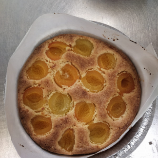 Flans - Apricot Flan- Passover